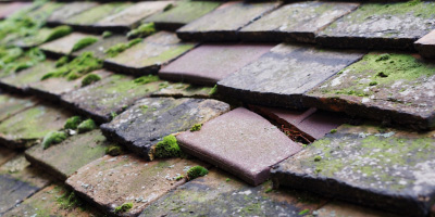 Brampton roof repair costs